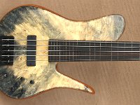 ST5 Buckeye Fretless Unique - Price 4200€