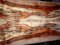 Spalted Maple