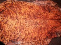 tuya burl