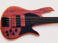 Groove fretless 5