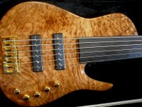 SC6  Fretless