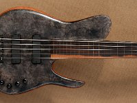 SJ5 Buckeye Fretless