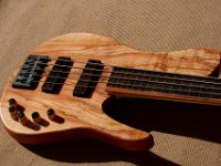 SJ5 Spalted Fretless