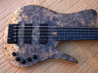 ST5 Fretless