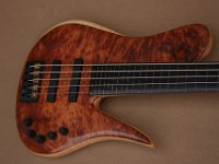 ST5 Tuya Burl Fretless - Price 3800€