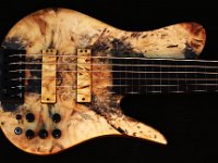 ST6 Fretless