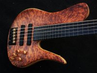 ST5 Fretless